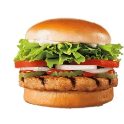 Grilled Chicken Burger - Sandwich